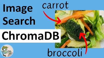 Getting Started with ChromaDB Image Search (Multimodal Embeddings)