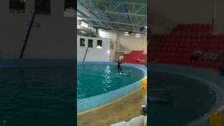 Поход в дельфинарий ОСКАР Трускавец
