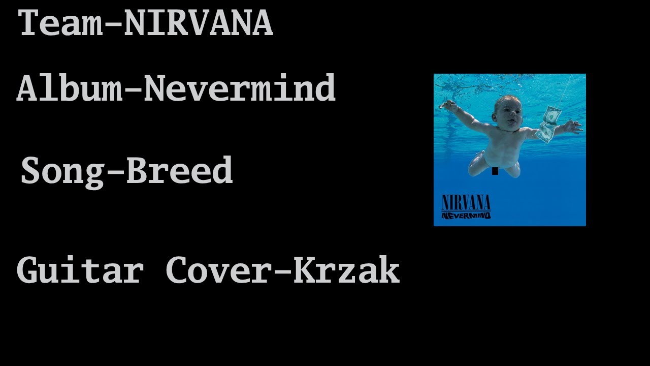 NIRVANA Aneurysm (guitar cover)
