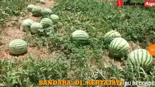 Lagu Bandara Kertajati Bijb