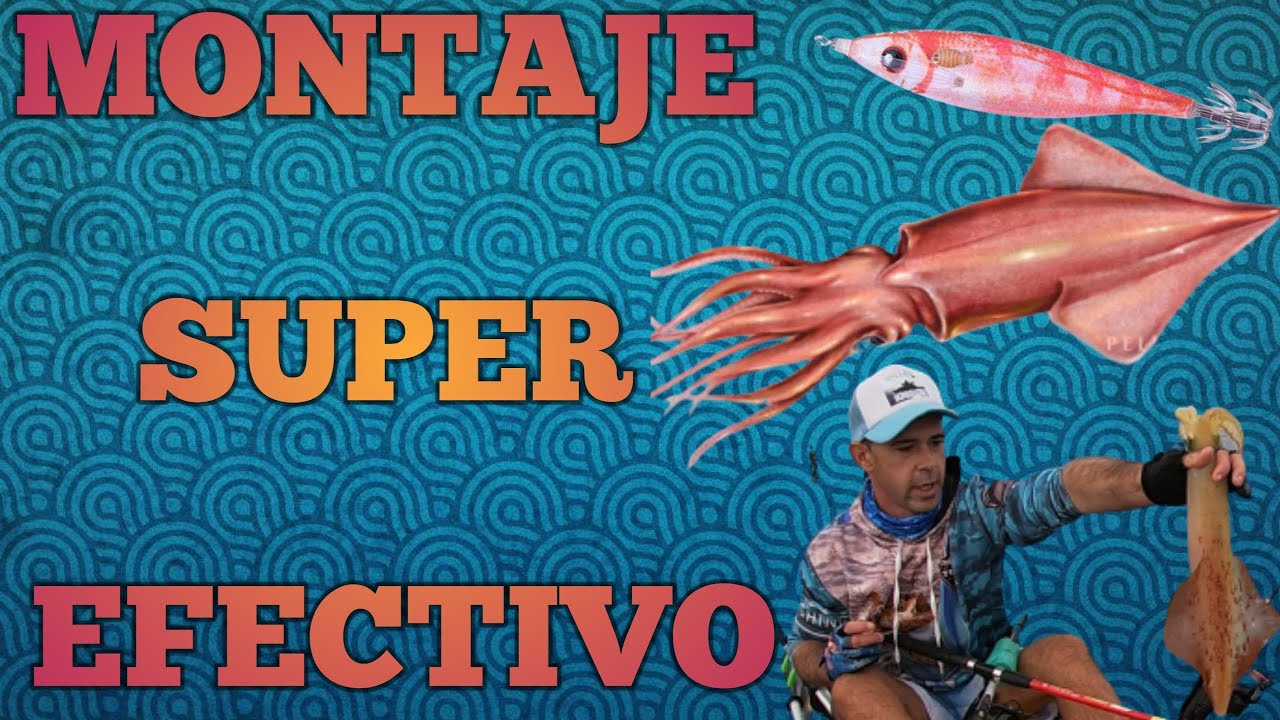 🦑𝗠𝗘𝗝𝗢𝗥 𝗔𝗣𝗔𝗥𝗘𝗝𝗢 𝗽𝗮𝗿𝗮 𝗖𝗔𝗟𝗔𝗠𝗔𝗥𝗘𝗦🦑 𝗽𝗲𝘀𝗰𝗮 𝗺𝗮𝘀 𝗰𝗮𝗹𝗮𝗺𝗮𝗿𝗲𝘀 𝗰𝗼𝗻 𝗲𝘀𝘁𝗲 𝗺𝗼𝗻𝘁𝗮𝗴𝗲💯