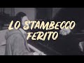 Antonello Venditti ——— anteprima 1975 de “Lo Stambecco Ferito” (album Lilly)