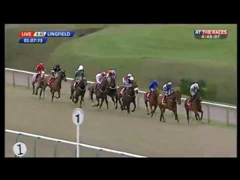 Vidéo de la course PMU THE ALL-WEATHER MARATHON CHAMPIONSHIPS CONDITION STAKES