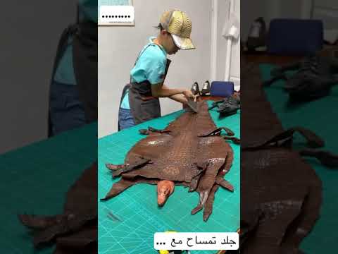 هكذا يتم صناعة الحزام من جلد التمساح 