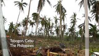 Typhoon Haiyan Relief Distribution In Northern Cebu