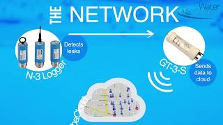 Permanent Leak Detection using N3 Loggers