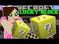 Minecraft: INVISIBLE LUCKY BLOCK! (CHICKEN BOMBS, INVISIBLE MOBS, & MORE!) Mod Showcase