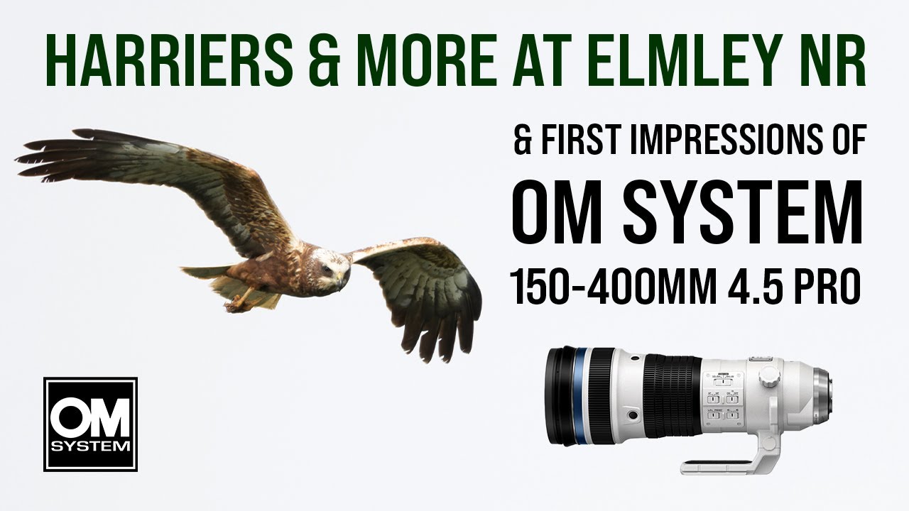Elmley Nature Reserve & First Impressions of OM System 150-400mm