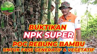 POC REBUNG BAMBU SETARA NPK 16 16 16 #npk #rebungbambu #pupukorganikcair