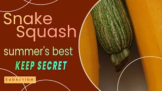 Snake Squash: A Stylish Summer Indulgence by The Epicurian Eden 32 views 2 months ago 3 minutes, 1 second