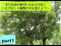 「木の名前が絶対にわかる方法！～まずは１０種類の木を覚えよう～」part1