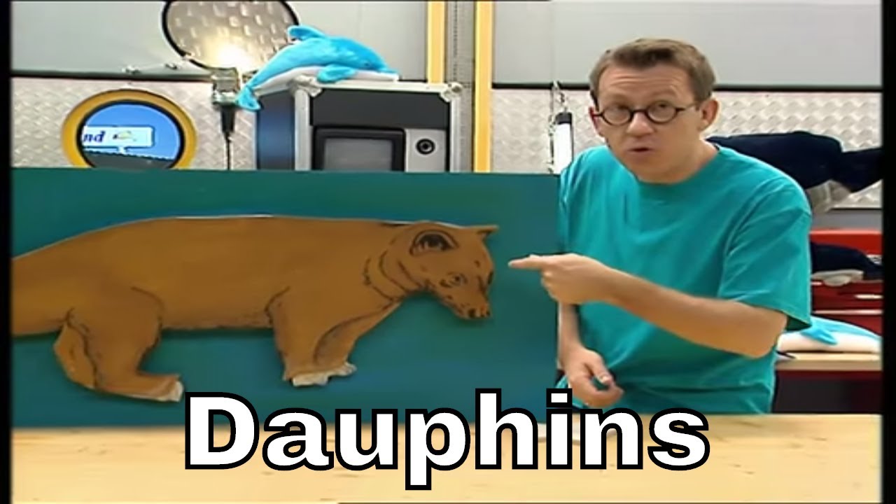 A Quoi Ressemblait L Ancetre Du Dauphin C Est Pas Sorcier Youtube