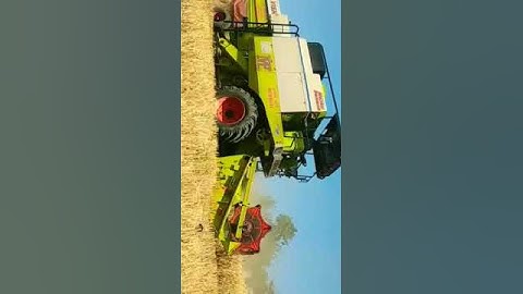 shetkari jivan | Gehu kadni | Crop #harvester #shetkari #marathi