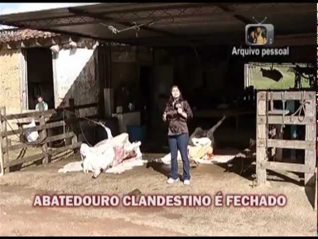 Polícia fecha abatedouro clandestino de cavalos e prende três pessoas em  Guapimirim, Guapimirim