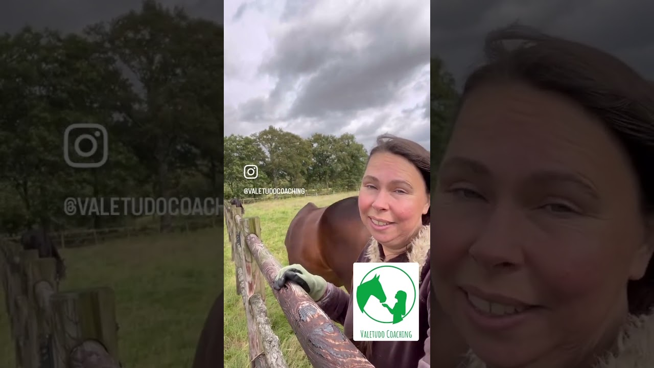 Ontdek je eigen pad en sta in je kracht met coaching met behulp van paarden