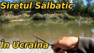 Pescuit pe Râul Siret în Ucraina după Clean și Biban 2022
