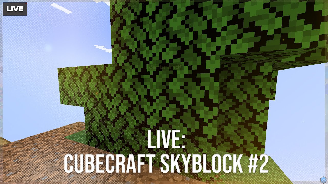 🔴 LIVE: CUBECRAFT SKYBLOCK [NL] #2 - YouTube