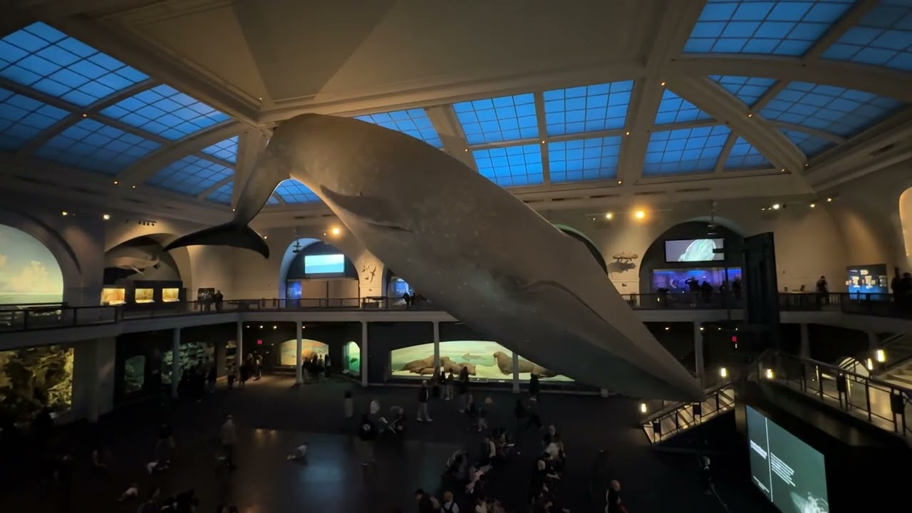 A Trip to NYC with the Student Activity Assocation