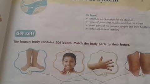 Class 5 science chapter 7 Skeletal system  and nervous system part 1