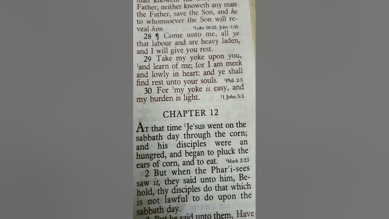 matthew-11-v-28-30-truth-bibleverse-motivation-jesus-love-youtube