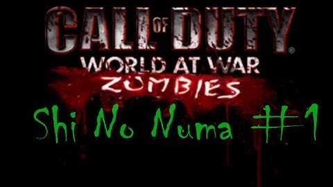Cod Zombies... The Story Behind It All...(Shi No Numa Part 1)