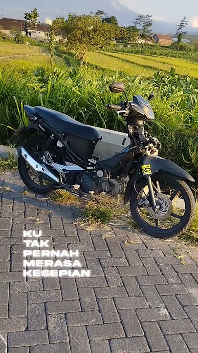 sampean tabrak mawon niku