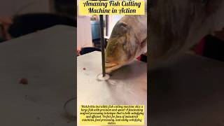 Amazing Fish Cutting Machine in Action 🐟 | Satisfying Seafood Processing