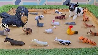 A Peaceful journey Through the World of Farm and safari Friends 🌿🐑