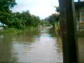 inundaciones de tamuin SLP de la colonia Victor Manuel de los Santos