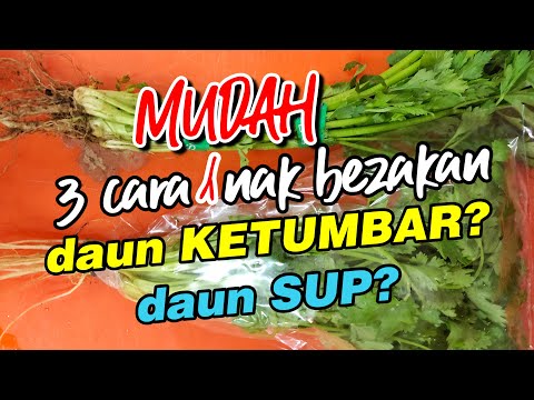 Video: 5 Cara Mengeringkan Sage