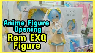 Rem EXQ Figure Opening Video