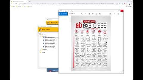 Google Photos Demonstration Video Using NetDrive