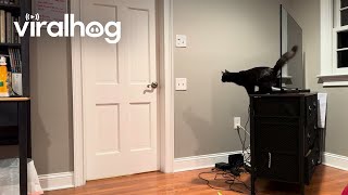 Clever Cat Makes A Big Jump to Open Door || ViralHog