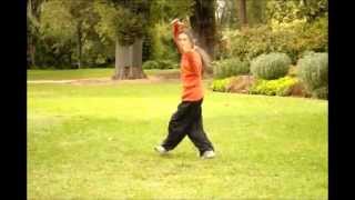 Yin-Yang Baguazhang - 8 Animals Basic Forms