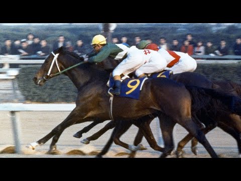 第14回 有馬記念（グランプリ） スピードシンボリ 牡6 55