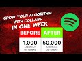 Small artists  do spotify collabs to grow your algorithm and followers
