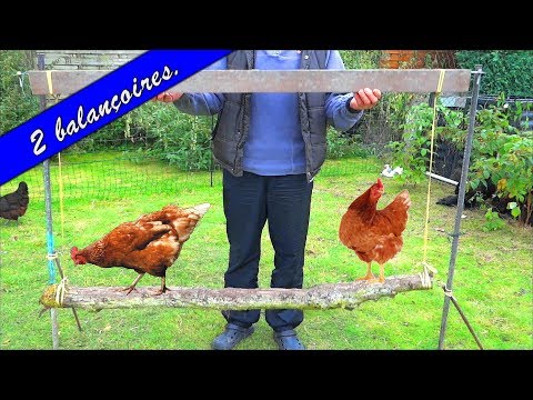 How to easily make a swing for chickens. Examples.