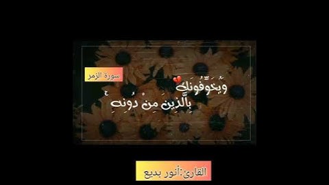 أَلَيْسَ اللَّهُ بِكَافٍ عَبْدَهُ ۖ   #الشيخ أنور بديع حفظه الله #سورة_الزمر #ابداعات #تلاوات_خاشعة