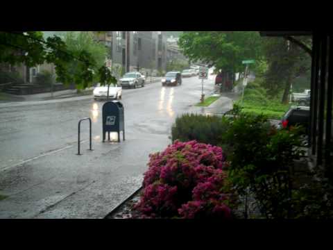 Torrential Portland Downpour