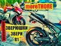 Мотогруповушки #12/1: Раздолбанная R1 и зверьё на дороге