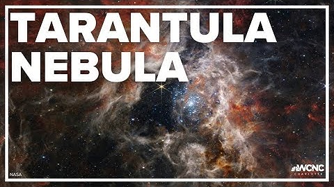 Webb Telescope captures Tarantula Nebula