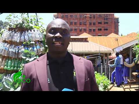 St Kizito high school Namugongo  training young people  climate smart agriculture