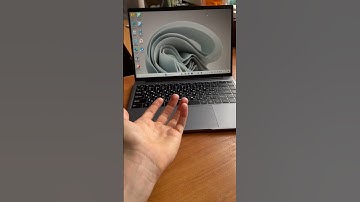 Поменял MacOS на Windows на 1 неделю