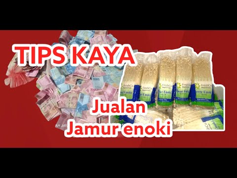Cara Menyimpan Jamur Enoki Di Kulkas Agar Tahan Lama