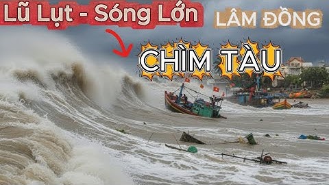 CHÌM TÀU Biển LÂM ĐỒNG | Lũ Lụt Nước Chảy Xiết Sóng Lớn Ngư Dân Bàng Hoàng Trước Diễn Biến Quá Nhanh