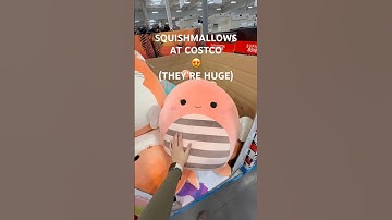 SQUISHMALLOWS AT COSTCO! (THEY’RE HUGE) #squishmallows