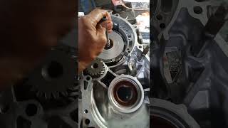 Viva Elite Transmission Repair