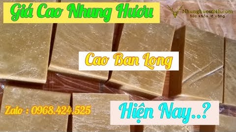 Giá Bán cao ban long,cao xương hươu, gạc hươu & Cao nhung hươu hiện nay - Trại Hươu Nai Nhật Thuận.
