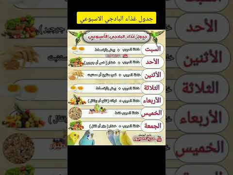 فيديو: هل يستطيع طيور اللقلق الخشبي أكل الخبز؟