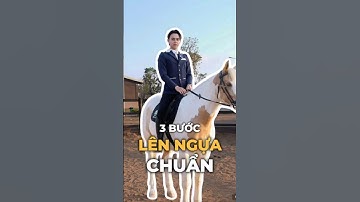 Học cách leo lên lưng ngựa siêu dễ cùng chuyên gia tại Học viện Cưỡi Ngựa Vinpearl Vũ Yên 🐎✨